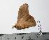  ( - BC-TB0400)  @12 [ ] Copyright (2010) Unspecified Research Collection of Thierry Bouyer