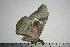 ( - BC-TB0474)  @13 [ ] Copyright (2010) Unspecified Research Collection of Thierry Bouyer