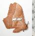  ( - BC-TB0739)  @14 [ ] Copyright (2010) Unspecified Research Collection of Thierry Bouyer