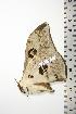  ( - BC-TB0750)  @13 [ ] Copyright (2010) Unspecified Research Collection of Thierry Bouyer