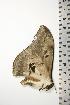  ( - BC-TB0751)  @13 [ ] Copyright (2010) Unspecified Research Collection of Thierry Bouyer