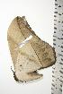  ( - BC-TB0756)  @13 [ ] Copyright (2010) Unspecified Research Collection of Thierry Bouyer