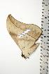  ( - BC-TB0757)  @13 [ ] Copyright (2010) Unspecified Research Collection of Thierry Bouyer