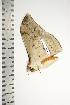  ( - BC-TB0770)  @14 [ ] Copyright (2010) Unspecified Research Collection of Thierry Bouyer