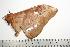  ( - BC-TB0780)  @14 [ ] Copyright (2010) Unspecified Research Collection of Thierry Bouyer