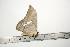  ( - BC-TB0848)  @13 [ ] Copyright (2010) Unspecified Research Collection of Thierry Bouyer
