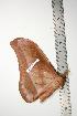  ( - BC-TB0851)  @12 [ ] Copyright (2010) Unspecified Research Collection of Thierry Bouyer