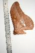  ( - BC-TB0852)  @12 [ ] Copyright (2010) Unspecified Research Collection of Thierry Bouyer