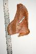  ( - BC-TB0853)  @12 [ ] Copyright (2010) Unspecified Research Collection of Thierry Bouyer