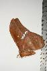  ( - BC-TB0859)  @12 [ ] Copyright (2010) Unspecified Research Collection of Thierry Bouyer