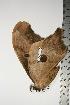  ( - BC-TB0863)  @14 [ ] Copyright (2010) Unspecified Research Collection of Thierry Bouyer