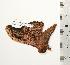  ( - BC-TB0875)  @13 [ ] Copyright (2010) Unspecified Research Collection of Thierry Bouyer