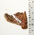  ( - BC-TB0876)  @13 [ ] Copyright (2010) Unspecified Research Collection of Thierry Bouyer