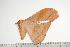  ( - BC-TB0943)  @12 [ ] Copyright (2010) Unspecified Research Collection of Thierry Bouyer