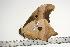  ( - BC-TB0959)  @14 [ ] Copyright (2010) Unspecified Research Collection of Thierry Bouyer