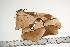  ( - BC-TB0960)  @14 [ ] Copyright (2010) Unspecified Research Collection of Thierry Bouyer