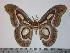  ( - BC-TB0098)  @14 [ ] Copyright (2010) Unspecified Research Collection of Thierry Bouyer