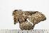  ( - BC-TB1222)  @12 [ ] Copyright (2010) Unspecified Research Collection of Thierry Bouyer