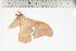  ( - BC-TB1250)  @12 [ ] Copyright (2010) Unspecified Research Collection of Thierry Bouyer