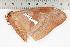  ( - BC-TB1254)  @12 [ ] Copyright (2010) Unspecified Research Collection of Thierry Bouyer