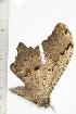  ( - BC-TB1332)  @12 [ ] Copyright (2010) Unspecified Research Collection of Thierry Bouyer