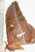  ( - BC-TB1334)  @13 [ ] Copyright (2010) Unspecified Research Collection of Thierry Bouyer