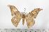  ( - BC-TB1393)  @12 [ ] Copyright (2010) Unspecified Research Collection of Thierry Bouyer