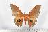  ( - BC-TB1487)  @13 [ ] Copyright (2010) Unspecified Research Collection of Thierry Bouyer