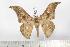  ( - BC-TB1593)  @12 [ ] Copyright (2010) Unspecified Research Collection of Thierry Bouyer