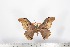  ( - BC-TB1620)  @12 [ ] Copyright (2010) Unspecified Research Collection of Thierry Bouyer