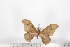  ( - BC-TB1621)  @12 [ ] Copyright (2010) Unspecified Research Collection of Thierry Bouyer