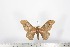  ( - BC-TB1622)  @12 [ ] Copyright (2010) Unspecified Research Collection of Thierry Bouyer