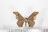  ( - BC-TB1624)  @12 [ ] Copyright (2010) Unspecified Research Collection of Thierry Bouyer