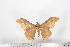  ( - BC-TB1625)  @12 [ ] Copyright (2010) Unspecified Research Collection of Thierry Bouyer