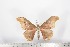  ( - BC-TB1626)  @13 [ ] Copyright (2010) Unspecified Research Collection of Thierry Bouyer