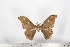  ( - BC-TB1643)  @12 [ ] Copyright (2010) Unspecified Research Collection of Thierry Bouyer