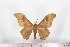  ( - BC-TB1649)  @11 [ ] Copyright (2010) Unspecified Research Collection of Thierry Bouyer