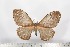  ( - BC-TB1653)  @11 [ ] Copyright (2010) Unspecified Research Collection of Thierry Bouyer