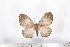  ( - BC-TB1656)  @13 [ ] Copyright (2010) Unspecified Research Collection of Thierry Bouyer