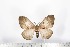  ( - BC-TB1657)  @13 [ ] Copyright (2010) Unspecified Research Collection of Thierry Bouyer