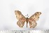 ( - BC-TB1662)  @13 [ ] Copyright (2010) Unspecified Research Collection of Thierry Bouyer