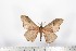 ( - BC-TB1664)  @13 [ ] Copyright (2010) Unspecified Research Collection of Thierry Bouyer