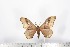  ( - BC-TB1665)  @13 [ ] Copyright (2010) Unspecified Research Collection of Thierry Bouyer