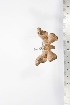  ( - BC-TB1699)  @12 [ ] Copyright (2010) Unspecified Research Collection of Thierry Bouyer