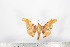  ( - BC-TB1708)  @12 [ ] Copyright (2010) Unspecified Research Collection of Thierry Bouyer