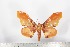  ( - BC-TB1709)  @12 [ ] Copyright (2010) Unspecified Research Collection of Thierry Bouyer