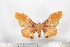  ( - BC-TB1710)  @12 [ ] Copyright (2010) Unspecified Research Collection of Thierry Bouyer