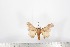  ( - BC-TB1725)  @12 [ ] Copyright (2010) Unspecified Research Collection of Thierry Bouyer