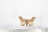  ( - BC-TB1727)  @12 [ ] Copyright (2010) Unspecified Research Collection of Thierry Bouyer