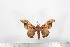  ( - BC-TB1730)  @12 [ ] Copyright (2010) Unspecified Research Collection of Thierry Bouyer